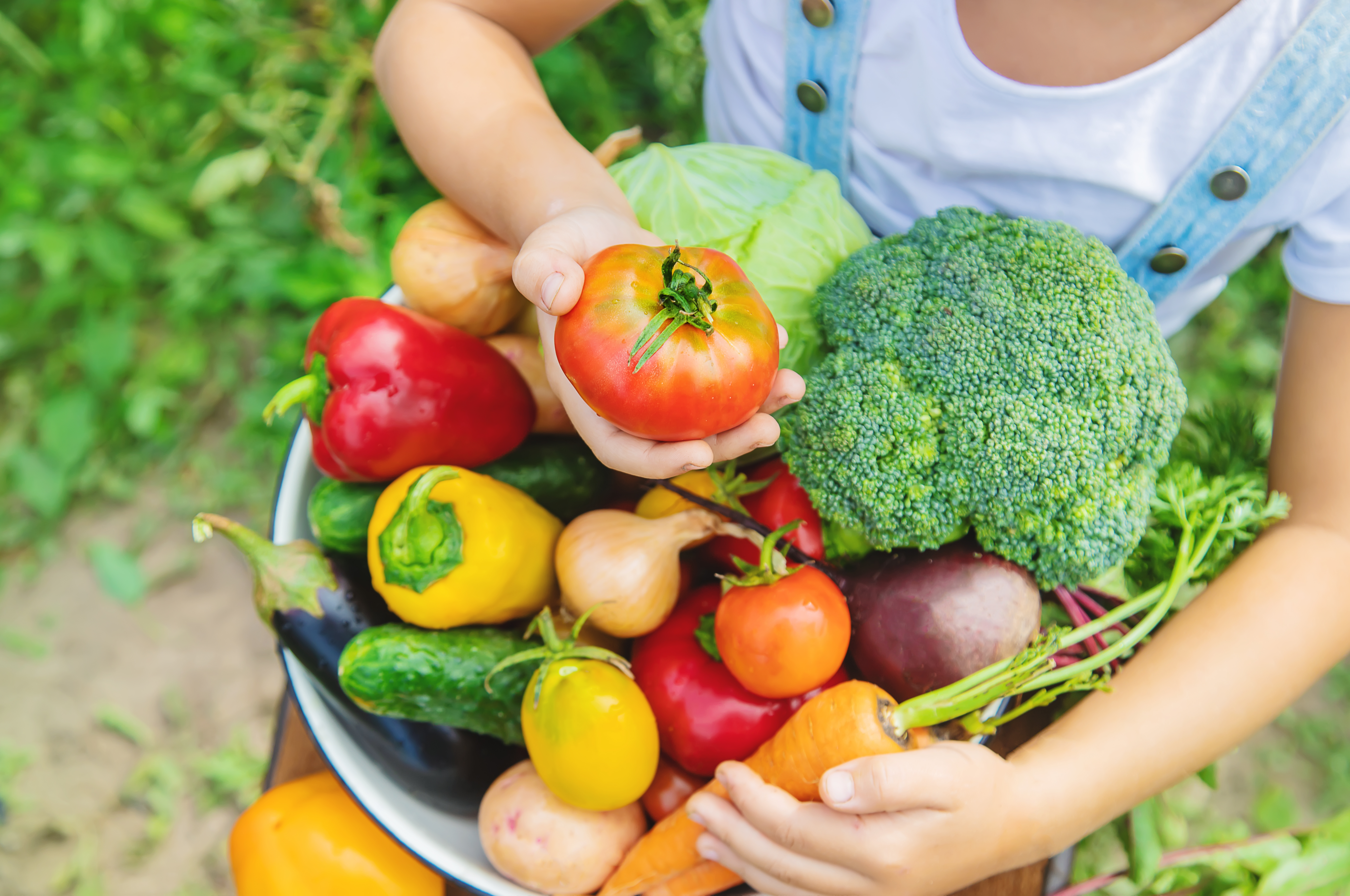 Fresh vegetables